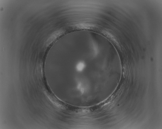 X0000068770398200605011032