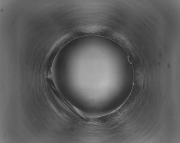 X0000068770400200605011032