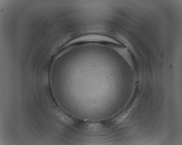 X0000068770401200605011032