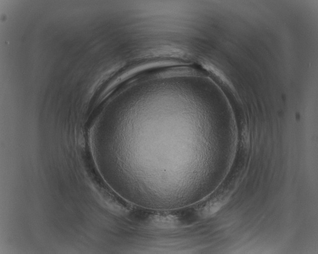 X0000068770403200605011032