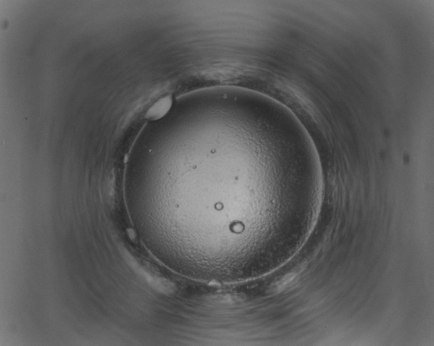 X0000068770404200605011032