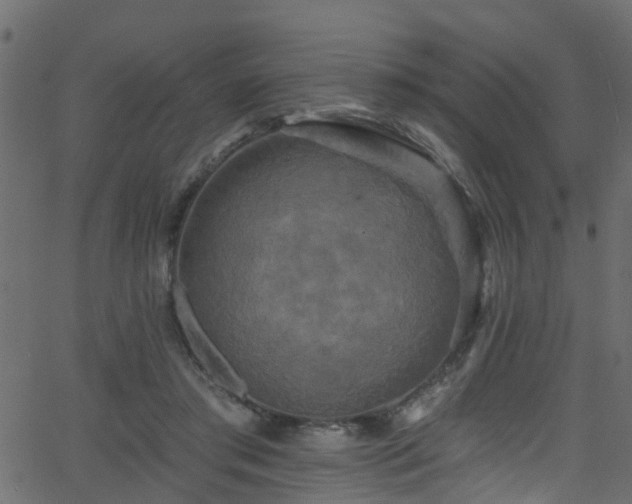 X0000068770405200605011032