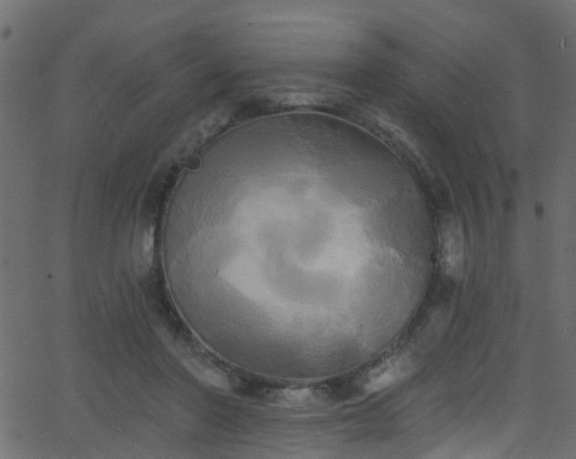 X0000068770406200605011032