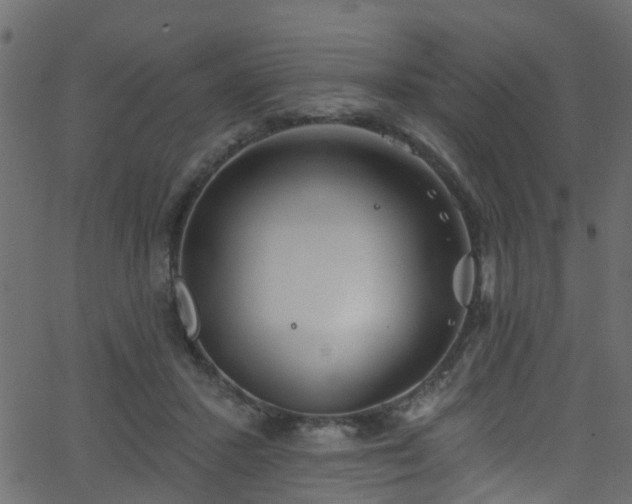 X0000068770407200605011032