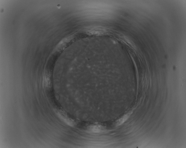 X0000068770408200605011032