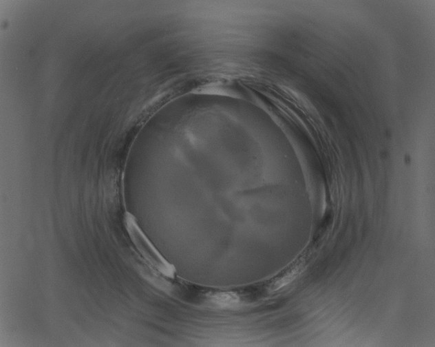 X0000068770409200605011032