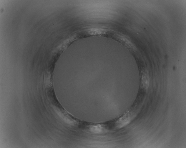 X0000068770411200605011032