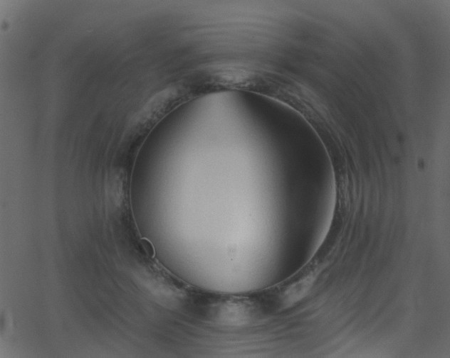 X0000068770412200605011032