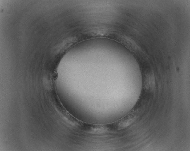 X0000068770414200605011032