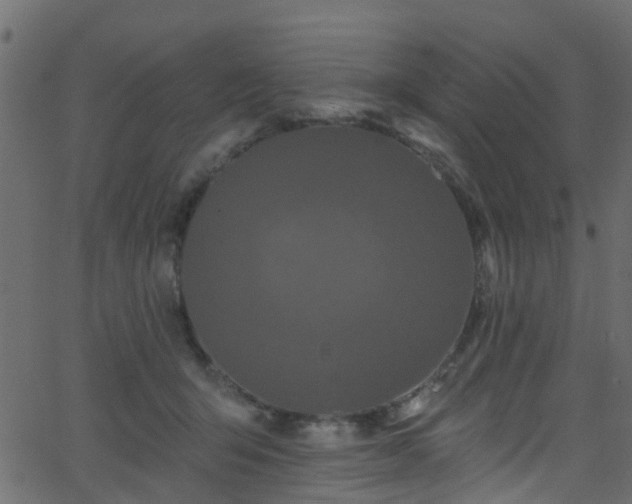 X0000068770415200605011032