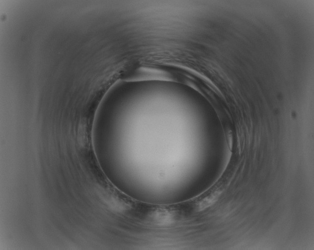 X0000068770416200605011032