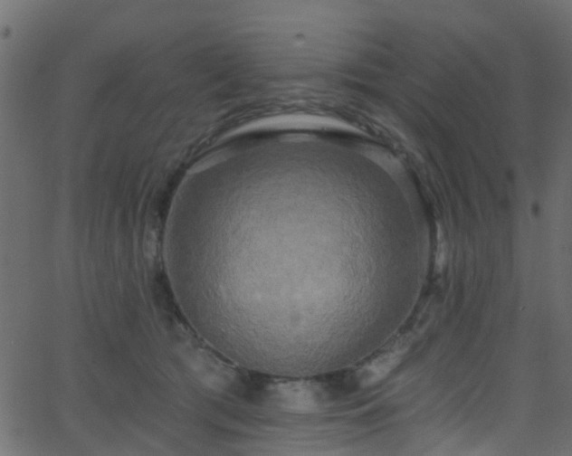 X0000068770417200605011032