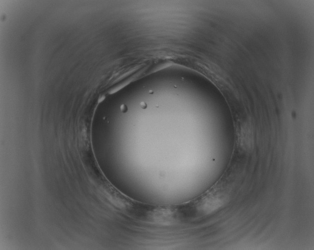 X0000068770418200605011032