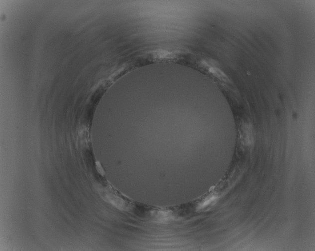 X0000068770419200605011032