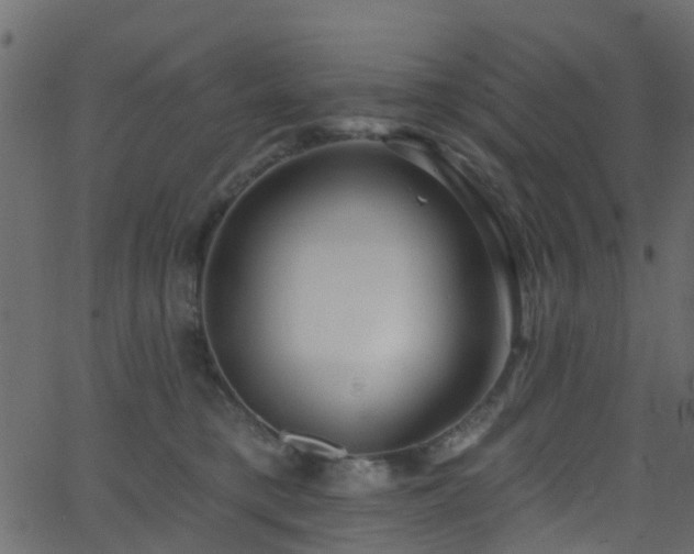 X0000068770421200605011032