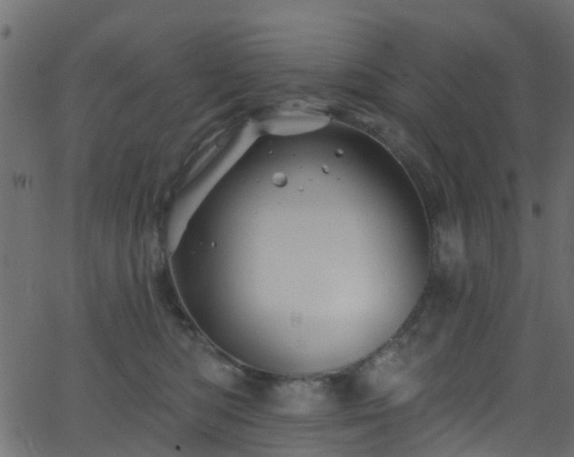 X0000068770422200605011032