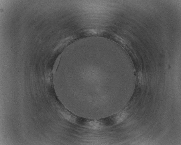 X0000068770423200605011032