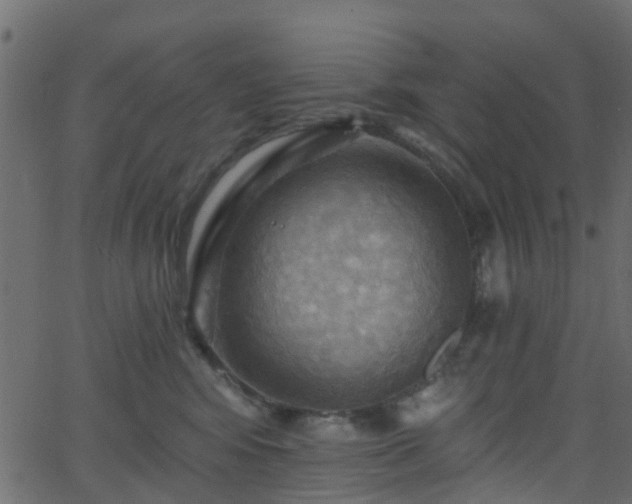 X0000068770424200605011032