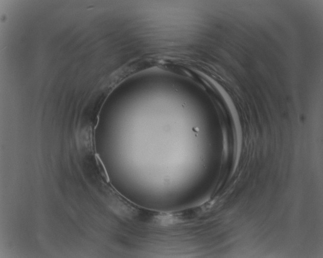 X0000068770425200605011032