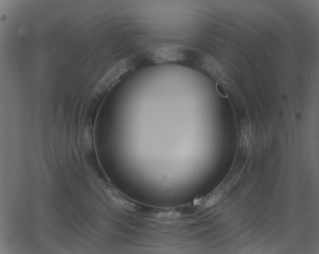 X0000068770426200605011032