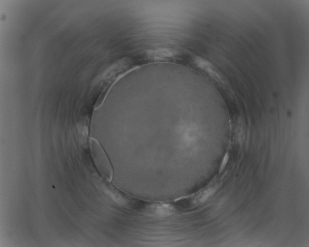 X0000068770427200605011032