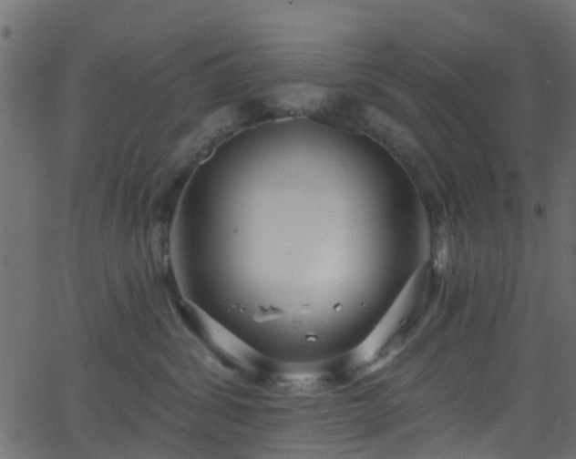 X0000068770428200605011032