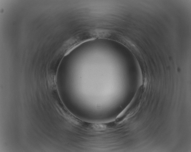 X0000068770429200605011032