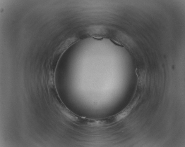 X0000068770430200605011032