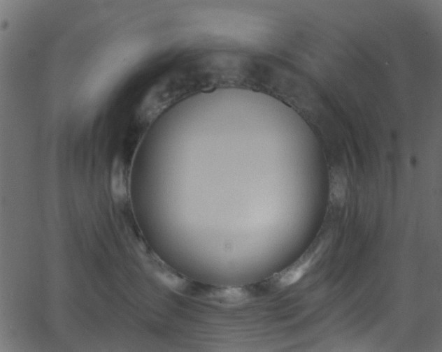 X0000068770431200605011032