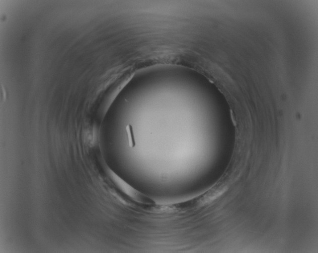 X0000068770432200605011032