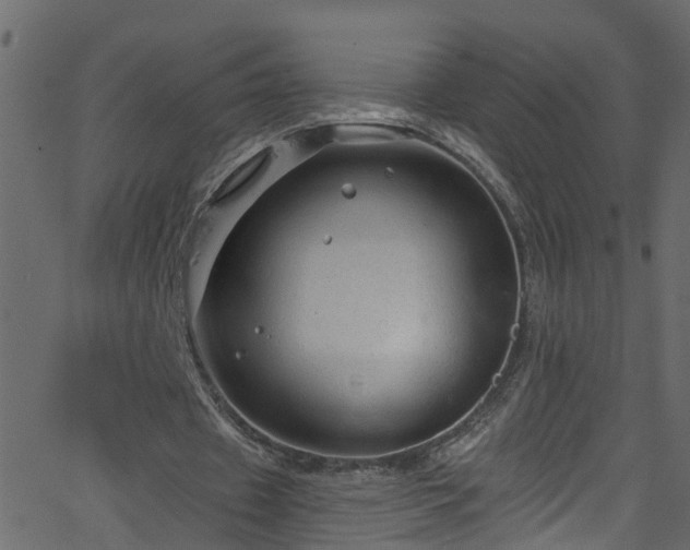 X0000068770433200605011031