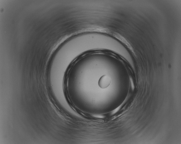 X0000068770436200605011031