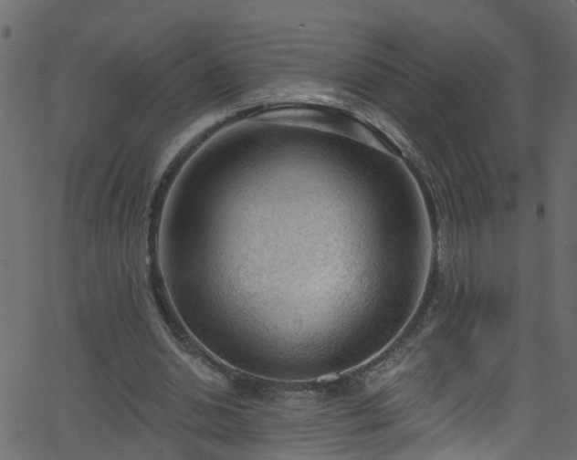 X0000068770438200605011031