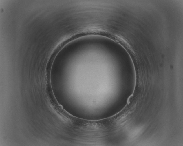 X0000068770439200605011031