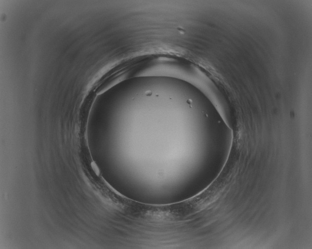 X0000068770440200605011031