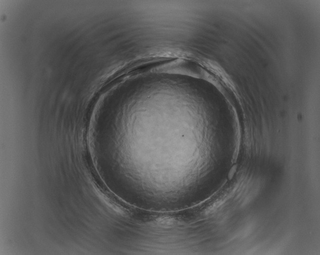 X0000068770441200605011031