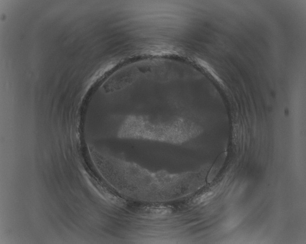 X0000068770443200605011031