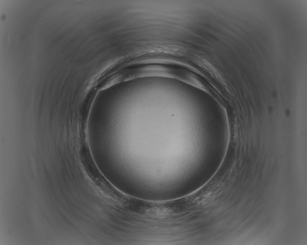 X0000068770444200605011031