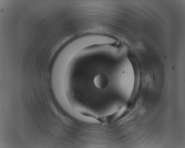 X0000068770446200605011031