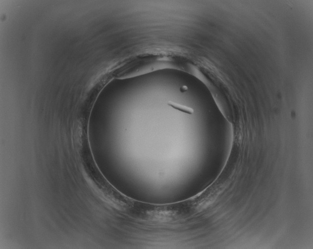 X0000068770448200605011031