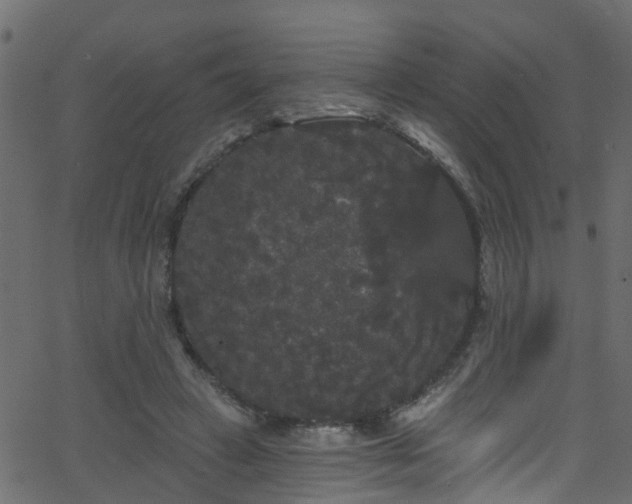 X0000068770449200605011031