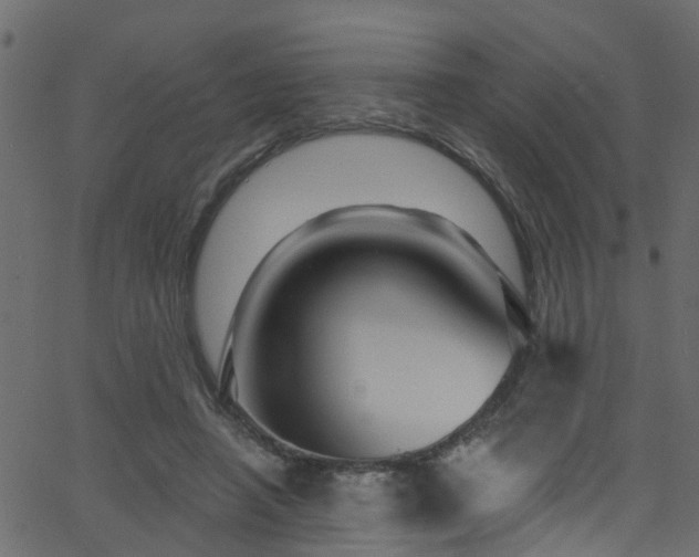 X0000068770450200605011031