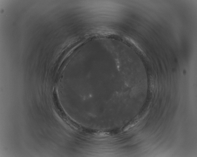 X0000068770451200605011031