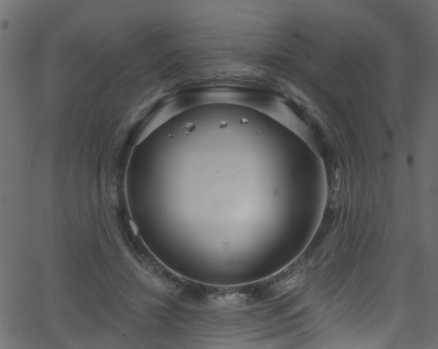 X0000068770452200605011031