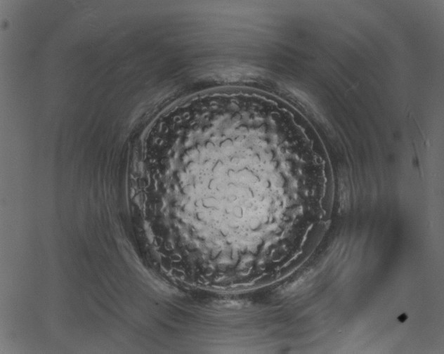 X0000068770453200605011031