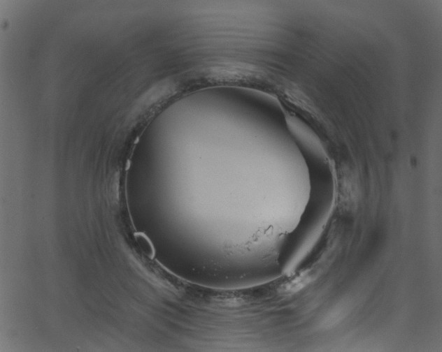 X0000068770454200605011031