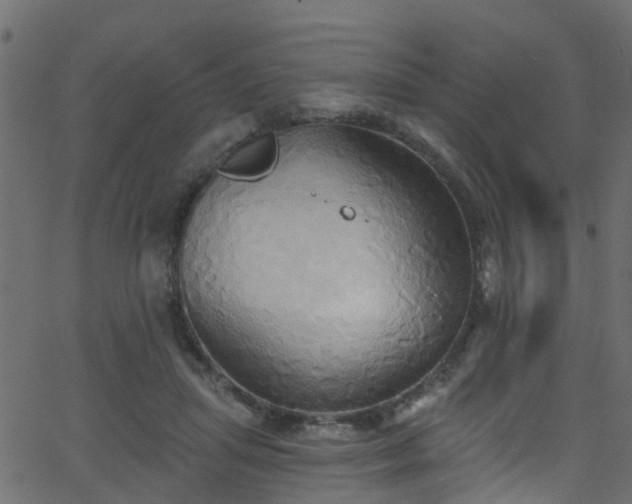 X0000068770455200605011031