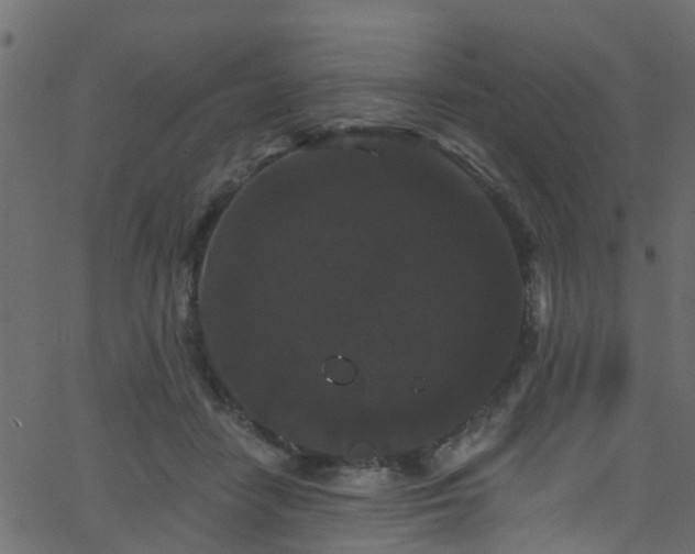 X0000068770458200605011031