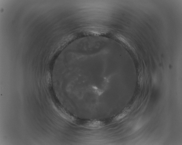 X0000068770459200605011031