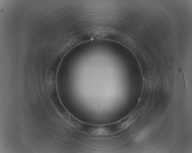 X0000068770460200605011031